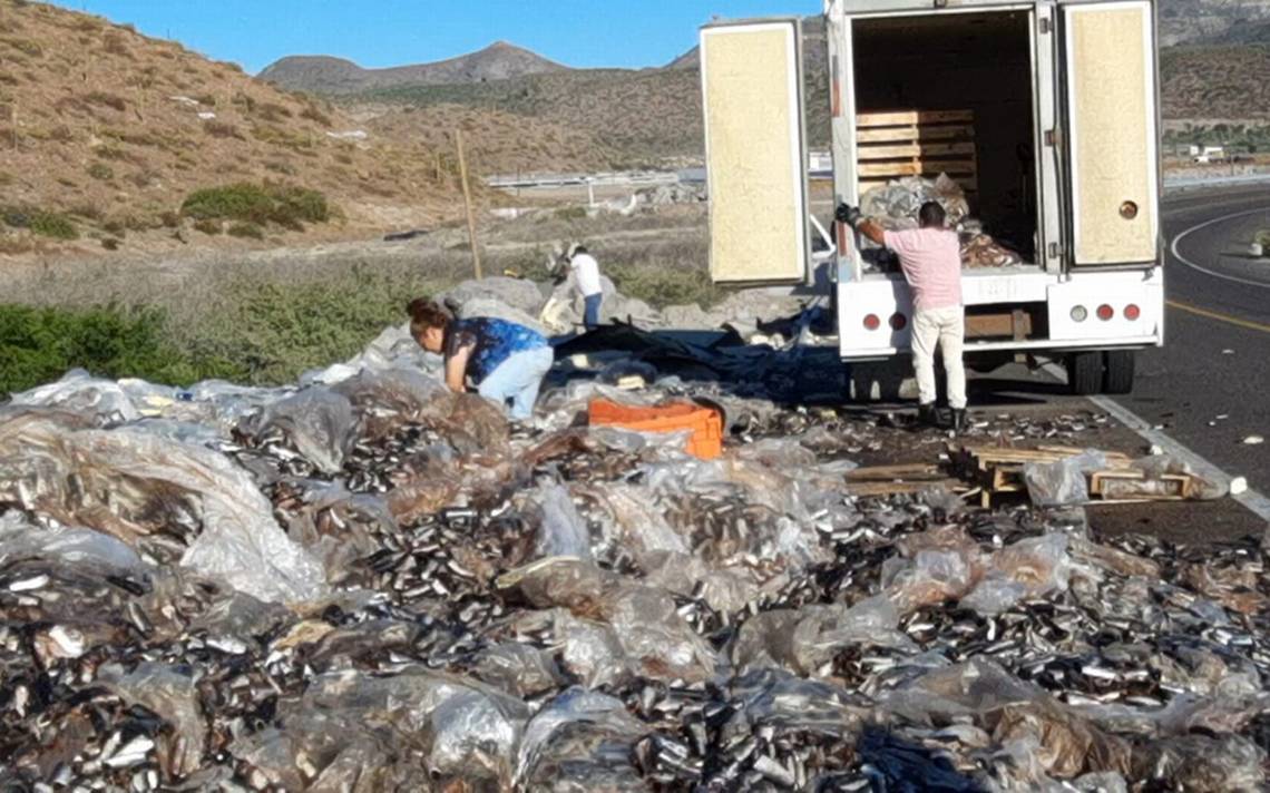 Recogen Sardinas De Tráiler Accidentado Sobre La Vía A Pichilingue El Sudcaliforniano 4484